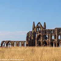 Buy canvas prints of Majestic Whitby Abbey by Adam Clare
