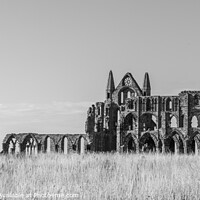 Buy canvas prints of Majestic ruins of Whitby Abbey by Adam Clare