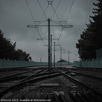 Buy canvas prints of Down The Tracks by Shannon O'connor