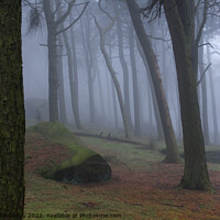 Buy canvas prints of Misty woodland Buxton  by Chris Mobberley
