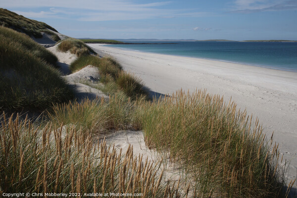 Scottish beach Berneray  Picture Board by Chris Mobberley