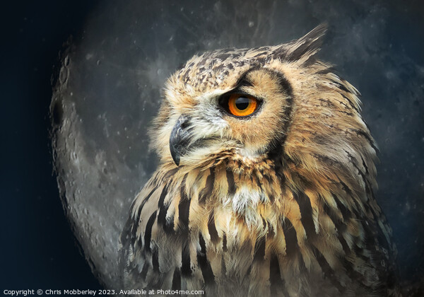Eagle owl Picture Board by Chris Mobberley