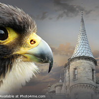 Buy canvas prints of Peregrine Falcon and Castle by Chris Mobberley