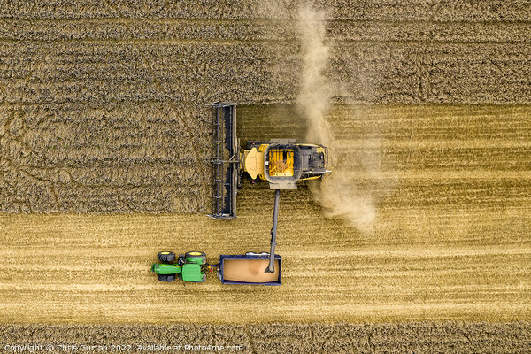 Harvest from above Picture Board by Chris Gurton