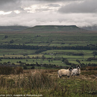 Buy canvas prints of View over Wensleydale to Addlebrough by Chris Gurton