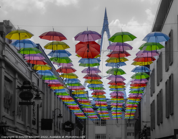 Pride Umbrellas Cardiff Picture Board by DAVID KNIGHT