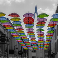 Buy canvas prints of Pride Umbrellas Cardiff by DAVID KNIGHT