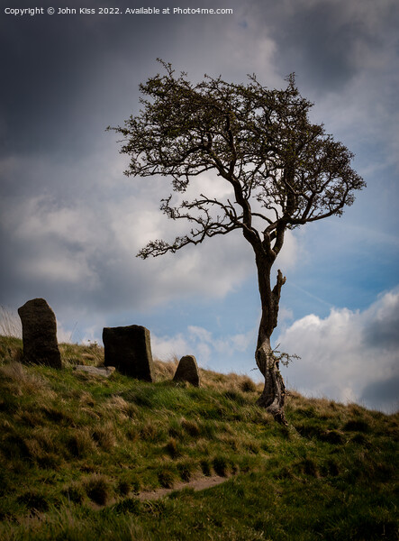 Grim Lone Tree Picture Board by John Kiss