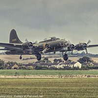 Buy canvas prints of Boeing B-17 Bomber taking off by Dave Layland