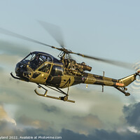Buy canvas prints of Army Scout Helicopter by Dave Layland