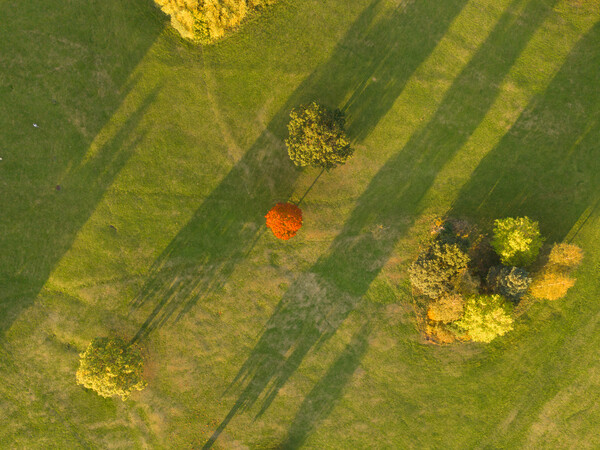 A Speck of Orange Picture Board by Apollo Aerial Photography
