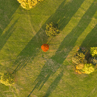 Buy canvas prints of A Speck of Orange by Apollo Aerial Photography