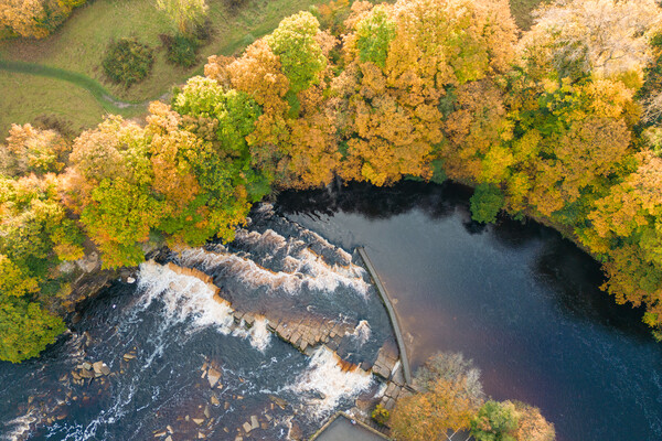Richmond Falls From Above Picture Board by Apollo Aerial Photography