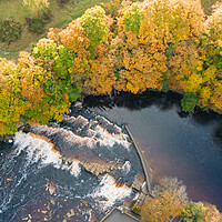 Buy canvas prints of Richmond Falls From Above by Apollo Aerial Photography