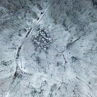 Buy canvas prints of Winter Woodland by Apollo Aerial Photography
