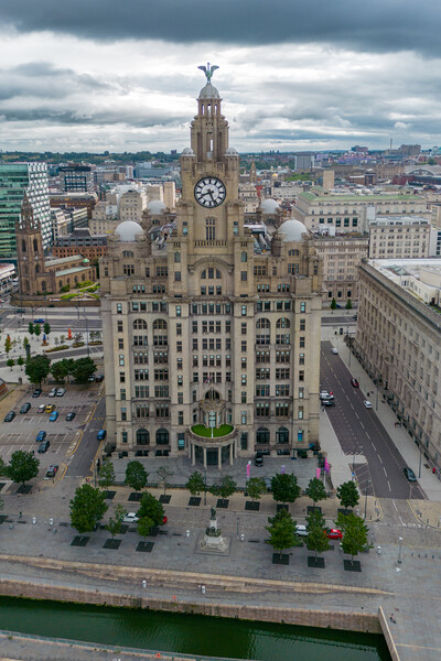 The Royal Liver Building Picture Board by Apollo Aerial Photography