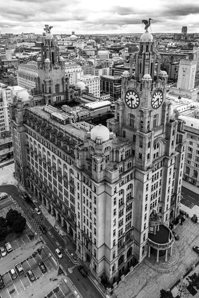 The Royal Liver Building Black and White Picture Board by Apollo Aerial Photography