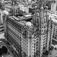 Buy canvas prints of The Royal Liver Building Black and White by Apollo Aerial Photography