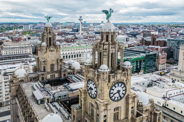 Atop The Royal Liver Building Picture Board by Apollo Aerial Photography