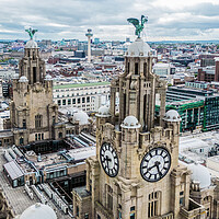 Buy canvas prints of Atop The Royal Liver Building by Apollo Aerial Photography