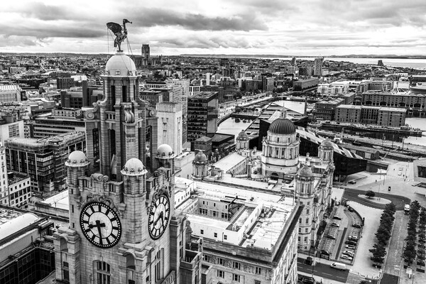 Atop The Royal Liver Building Picture Board by Apollo Aerial Photography