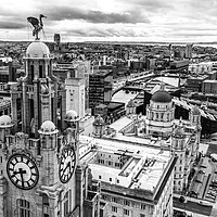 Buy canvas prints of Atop The Royal Liver Building by Apollo Aerial Photography