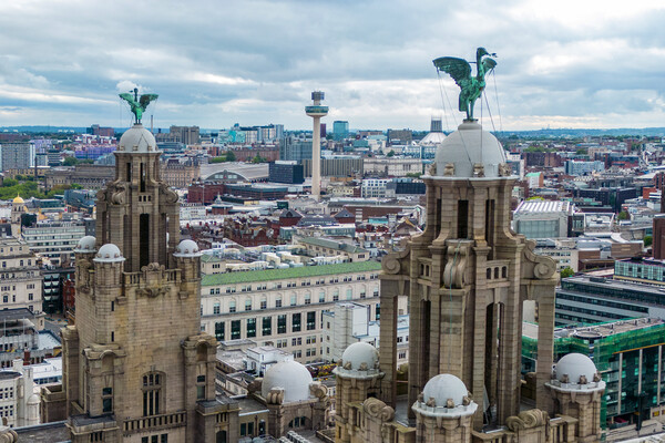 The Liver Birds Picture Board by Apollo Aerial Photography