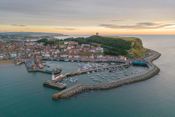Scarborough Harbour Picture Board by Apollo Aerial Photography