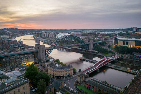 Newcastle Bridges on the Tyne Picture Board by Apollo Aerial Photography