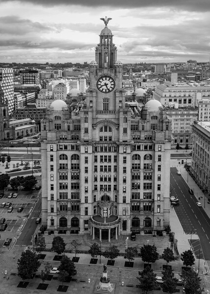 The Royal Liver Building Black and White Picture Board by Apollo Aerial Photography