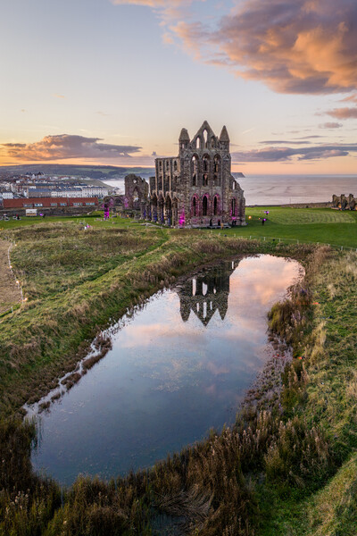 Whitby Abbey Reflections Picture Board by Apollo Aerial Photography