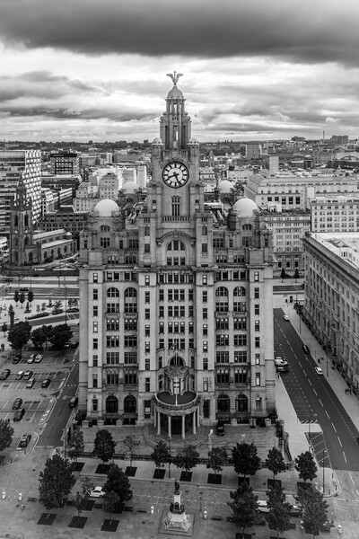 The Royal Liver Building Picture Board by Apollo Aerial Photography