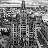 Buy canvas prints of The Royal Liver Building by Apollo Aerial Photography