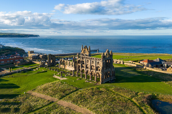 Whitby Abbey Aerial View Picture Board by Apollo Aerial Photography