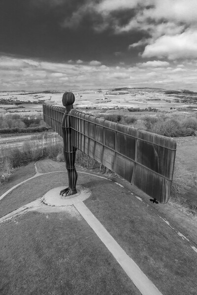 Angel of the North Picture Board by Apollo Aerial Photography