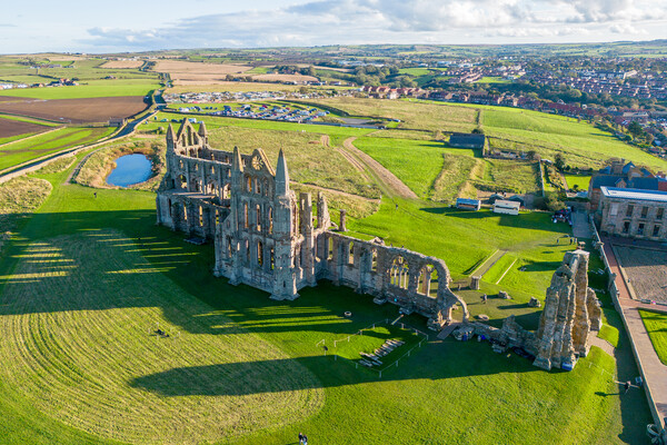 Whitby Abbey by Drone Picture Board by Apollo Aerial Photography