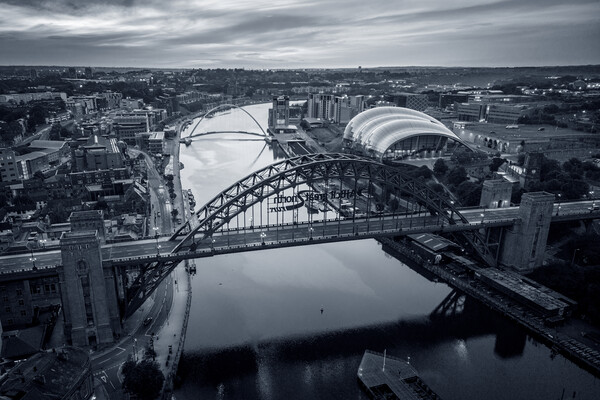 Newcastle Picture Board by Apollo Aerial Photography