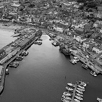 Scarborough Black and White