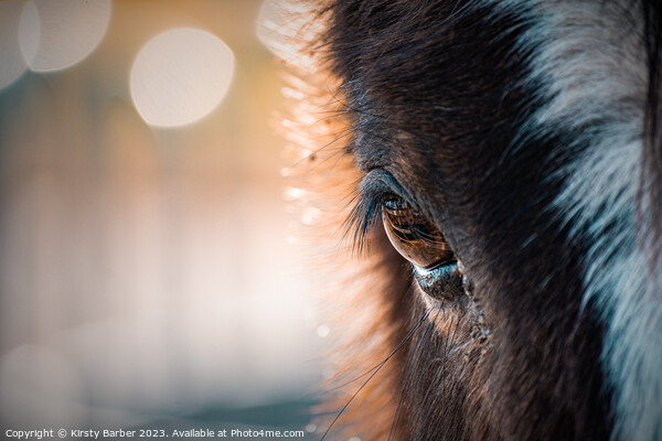 Close up of a horses eye Picture Board by Kirsty Barber