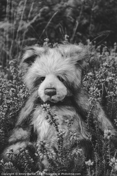 Teddy Bear in field of flowers Picture Board by Kirsty Barber