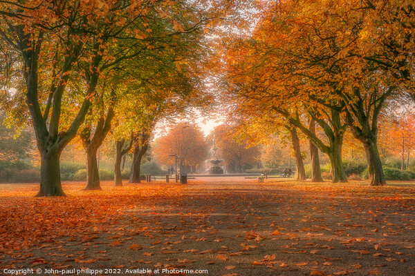 Autumn Avenue Picture Board by John-paul Phillippe