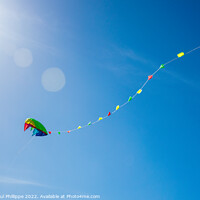 Buy canvas prints of Kite In Blue Summer Sky by John-paul Phillippe