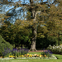 Buy canvas prints of west park garden by malcolm james