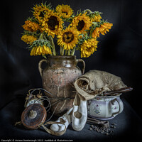Buy canvas prints of Sunflowers by Horace Goodenough
