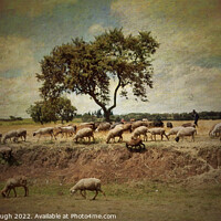 Buy canvas prints of The Goat herder by Horace Goodenough