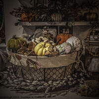 Buy canvas prints of Pumpkins by Horace Goodenough