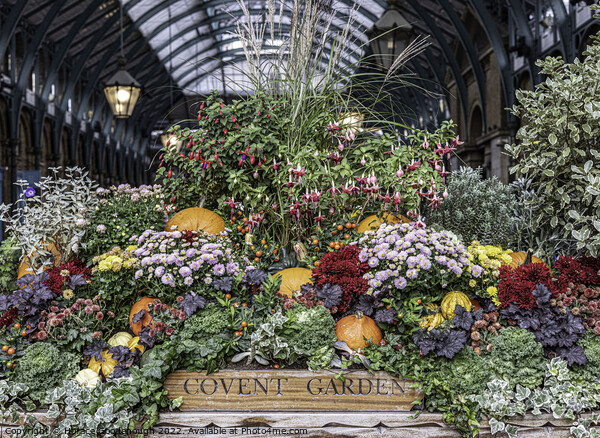 Covent Garden Picture Board by Horace Goodenough