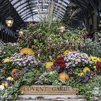Buy canvas prints of Covent Garden by Horace Goodenough