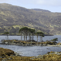 Buy canvas prints of Island in the Highlands by Horace Goodenough