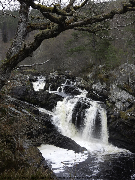 Rogie Falls and Blackwater river Picture Board by Horace Goodenough